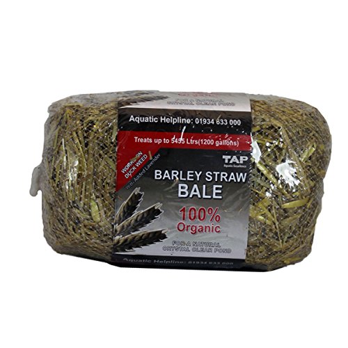 Barley Straw Bale - treats ponds up to 1200 Gallons
