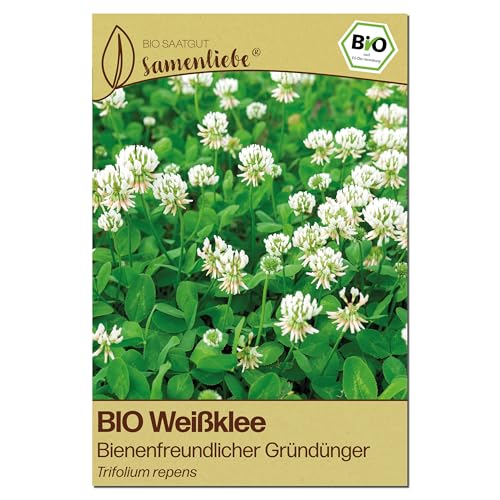 Samenliebe BIO Weißklee Samen | Gründünger & Bienenweide - winterhart & mehrjährig - samenfestes BIO Saatgut
