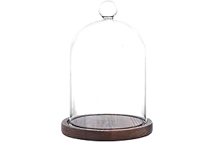 Elegant Glass Bell Dome for Displaying Cherished Possessions