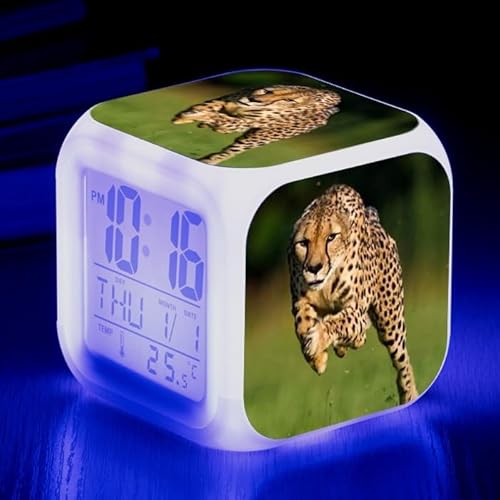 PPPJYYSGA/`[^[p^[LEDJ[`FWfW^NbNAj̎qƏ̎q̐QJ[`FWEFCNAbvNbNAx\tfW^ڊo܂v q̂߂̃zf[Mtg(Color-8)