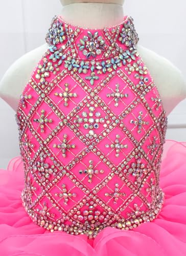 Baby Girl's Short Halter Cupcake Pageant Dresses Princess Birthday Party Tutu Ball Gowns PT1043