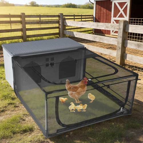 Chicken Coop with Run for 4-6 Birds