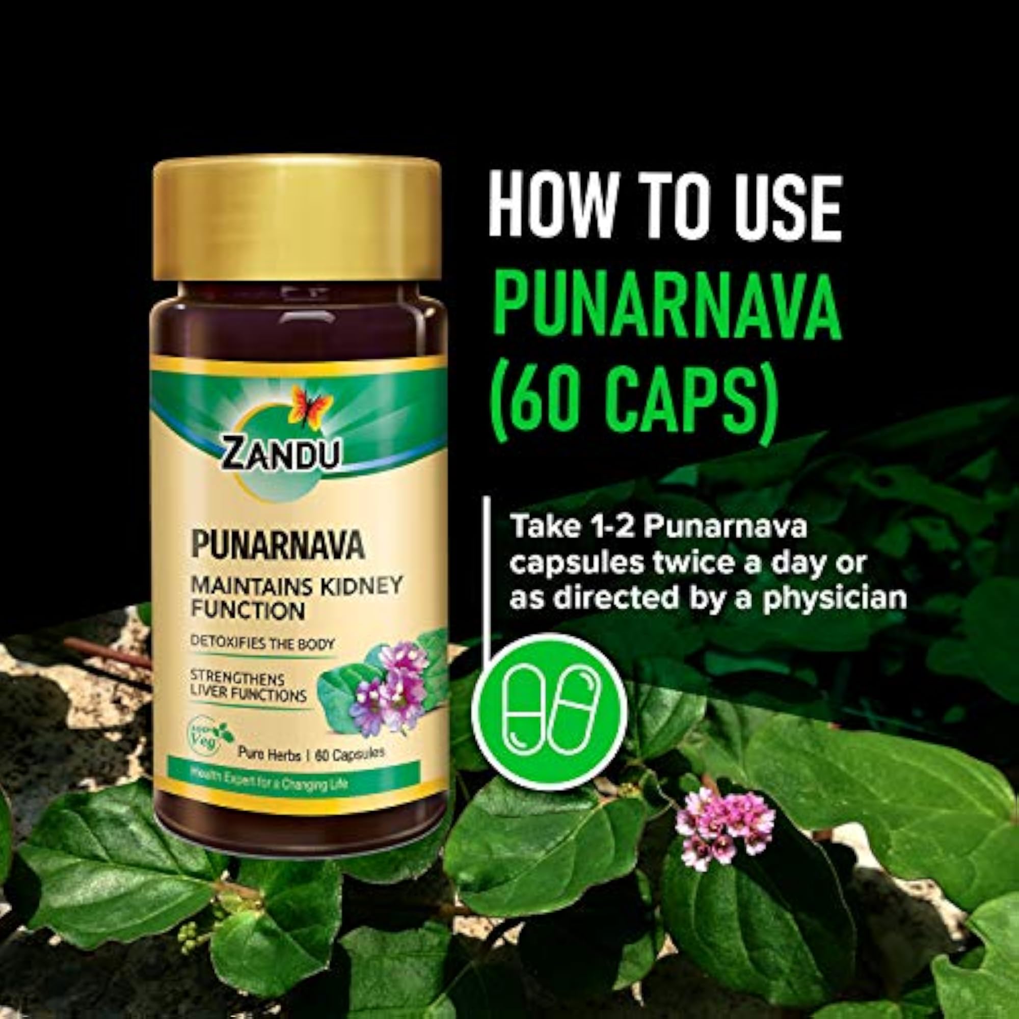Punarnava Capsules, 60 Veg