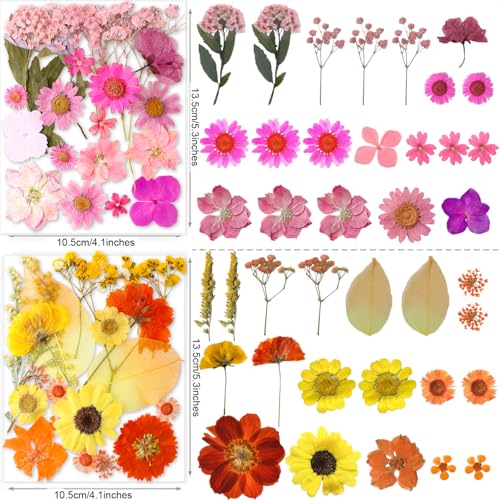 Image of 221PCS Real Nature Dried Pressed Flowers for Resin Craft, Dry Pressing Floral with Butterfly Transparent Stickers Set for DIY Jewelry Making Nail Card Scrapbook Art Eternity Summer