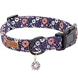 Faygarsle Floral Dog Collar for Girls and Female Dogs Soft and Fancy Pet Collar with Flower Design Ideal Purple Dog Collar for Small Medium Large Dogs M