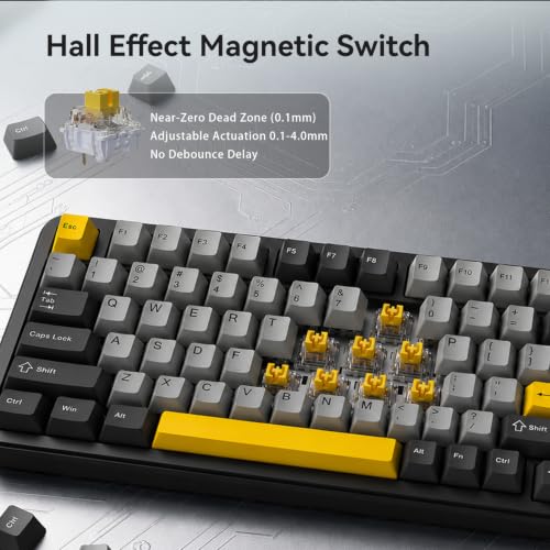 Image of AJAZZ AK820 HE Wired 75% Gaming Keyboard, Hall Effect Magnetic Switch with Rapid Trigger, 8KHz Polling Rate, Gasket Mount, PBT Keycaps, RGB Backlit, Metal Volume Knob for PC /Mac, Black