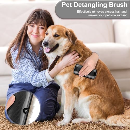 Adiwo Groomify Pet Care Brush, Groomify mr Waggy Tails, Pet Hair Removal Brush Grooming Tool, Pflegekämme für Katze und Hund, Haustier-Enthaarungskamm, Hundebürste für Hunde
