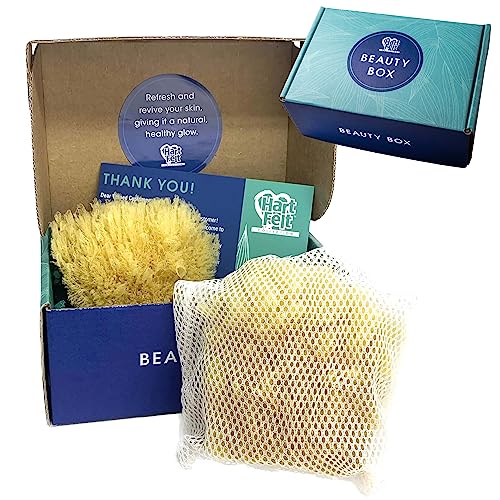 HartFelt Gentle Exfoliation Sea Sponge Beauty Box | 2 Yellow Sea Sponges 4 in | Mesh Bag for Cleaning & Drying | Gift Box