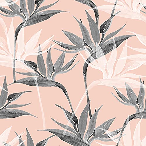 Papier Peint Meuble Repositionnable Magic-Stick Décoration Murale Paradis Oiseau Girly - 3
