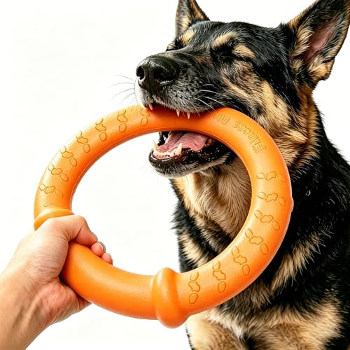 Jouet interactif pour chien LaRoo orange 30 cm anneau flottant à mâcher