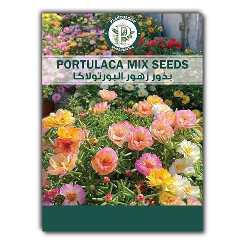 Portulaca Mix Flower Seeds for Planting Mix Flower Seeds Colorful Blossoms for Home Garden & Lawn