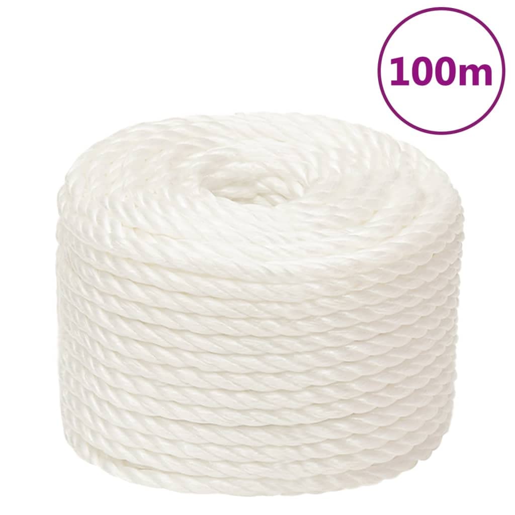 Generisch Bodenarbeitsseil Pferd, Survival Ausrüstung,Wear-Resistant and Weatherproof, Easy to Handle, Ideal for Use Around The House, in The Garden, and in The Workshop, (Weiß, 12 mm, 100 m)