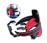 Motorrad, Elektro-Auto grundlegende Sicherheitsbügel