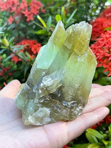 GAF TREASURES XL Green Calcite Raw...
