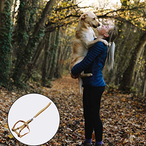 Fantasias Tehaux para cães de estimação - 1 peça de corda de tração para animais de estimação com es