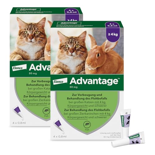 Advantage Spot On für Katzen & Kaninchen 80 mg Spar- Set (4- 8 kg): Flohschutz, 8 Pipetten, für Katzen & Zierkaninchen, tötet Flöhe & Larven in der Umgebung, Vorratspack