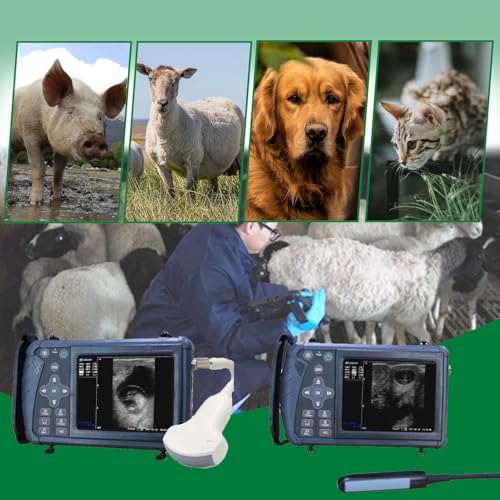Analizzatore portatile di ultrasuono con la sonda doppia di frequenza per l'imaging diagnostico animale