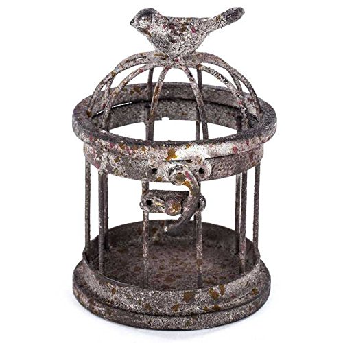 SOBAKEN Rusty Small Iron Bird Cage with Bird on Top