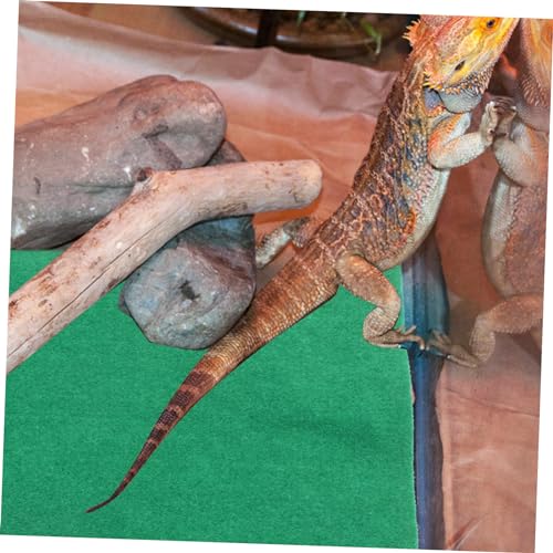 Alfombrilla térmica para reptiles IMIKEYA miniatura 3