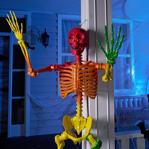 Image of JOYIN 5.6 FT Halloween Posable Life Size Skeleton, Full Body Realistic Bones with Movable Joints, Rainbow Color Giant Skeletons for Halloween Decoration Outdoor, Haunted House Prop, Spooky Scene Party
