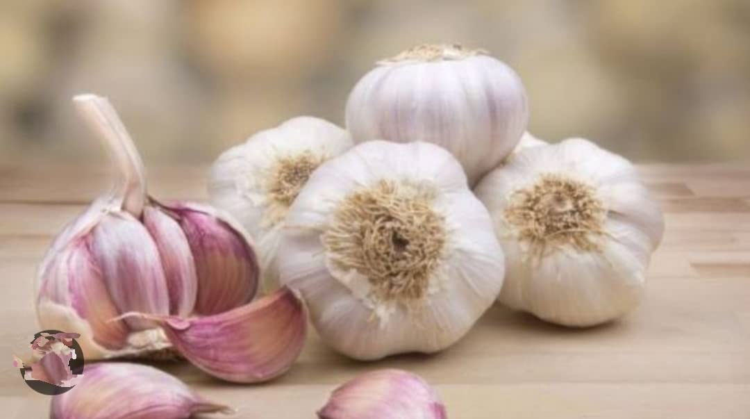 Dilkash Hub Grade A Quality KOSHUR LAHSUN (Kashmiri Garlic) 100% Fresh & Natural Organic Whole Clove Sun Dried Pure Kashmiri Garlic | | Allium Sativum (1Kg) (B0C7QGS18F) Amazon Price History, Amazon Price Tracker
