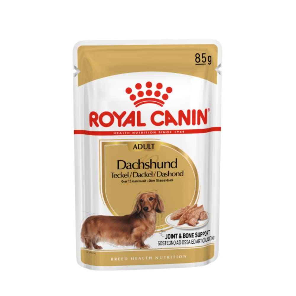 Royal Canin Dachshund Adult Mousse | 12 x 85 g | Alimento Completo para Perros | para Dachshunds Adultos | Puede Ayudar a Proteger los Huesos y Las articulaciones