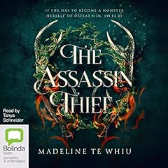 The Assassin Thief cover art