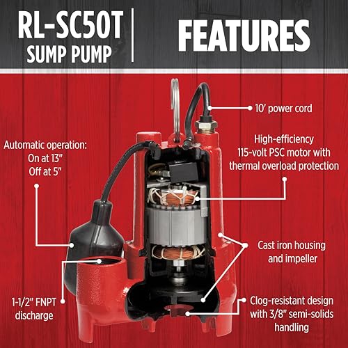 Amazon.com: Red Lion: Shop Sump Pumps