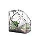 NCYP Large Eight-Surface Diamond Shape Geometric Glass Terrarium Succulent Plant Flower Pot
