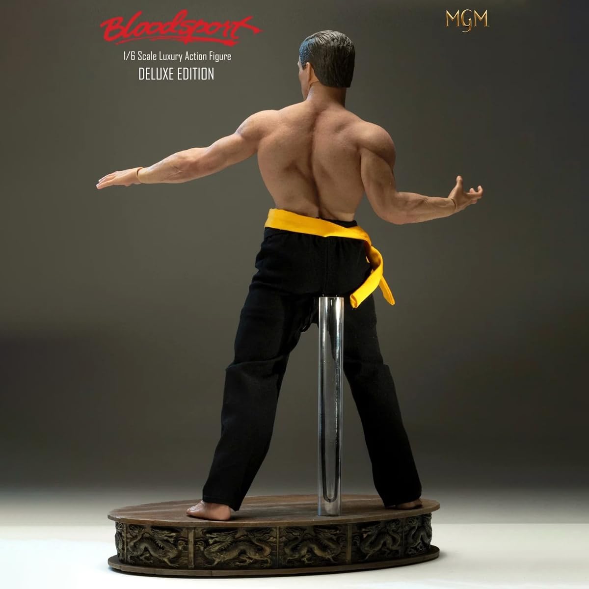 Amazon.co.jp: HiPlay Infinite 1/6 拳覇天下 -ブラッドポイント