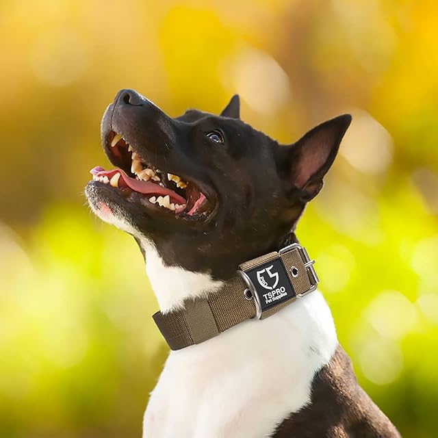Foto 6 de 6 de TSPRO Collar Táctico para Perros, Acolchado, Ancho 3,3 cm, Ajustable