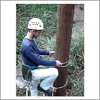 Amazon.co.jp: 巴化成工業 木登りビッグステップ/大径木仕様/単品/木