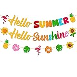 Hello Summer Hello Sunshine Banner for Summer Hawaiian Tropical Flamingo Pineapple Sunflower Beach T