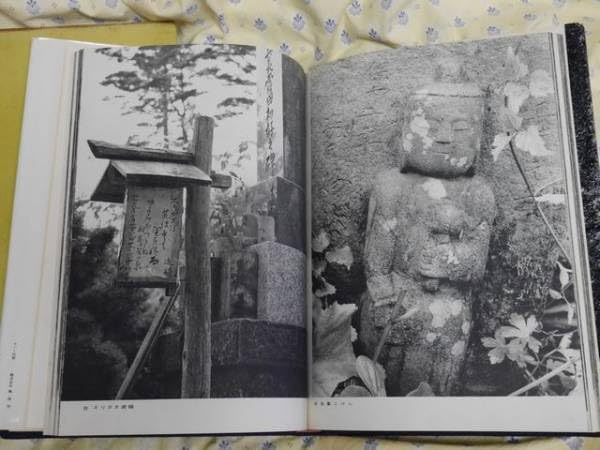 Amazon.co.jp: 野の佛 若杉慧写真集 東京創元社大型本 : おもちゃ