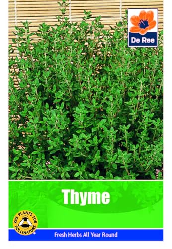 Vegetable Seeds for Growing Thyme 255 Seeds Grow Your Own Garden Vegetable Salad Herb Seed
