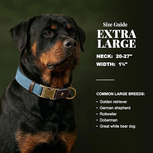 Image of Didog PU Leather Dog Collar for Large Dogs, Soft Nylon Lining,Denim Blue XL
