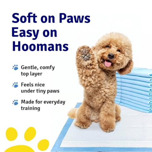 Image of Pet Pee Training Pads for Dogs, Cats & Puppies, 5 Layer Leak-Proof, Large, Quick Dry, Super Absorbent, Odour Control, Non-Slip, Indoor Potty Training (Disposable 50 Pads, 60x60 cm)