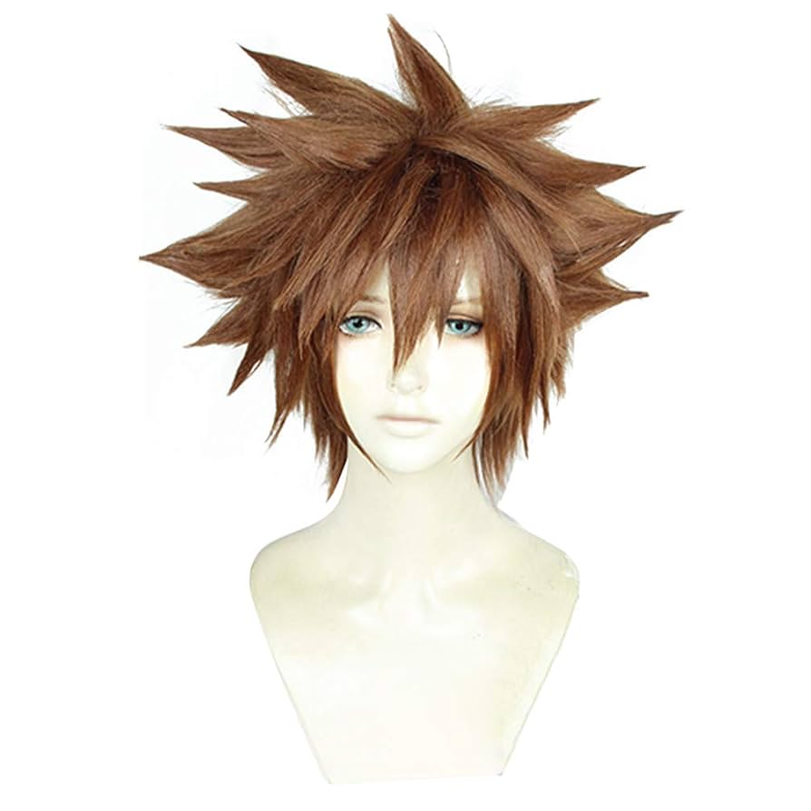 Amazon.co.jp: キングダム ハーツ III ソラ キングダム 風