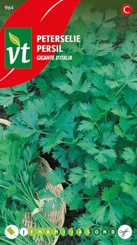 Parsley Gigante d'Italia Seeds per gram - More Aromatic Taste - 4 g - Seeds per gram: 600