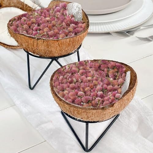 Cabezas de flores secas naturales para manualidades miniatura 4
