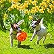 KONG Jumbler Ball - Apportierspielzeug mit Tennisball für Hunde und Welpen - Für Mittlere/Große Hunde