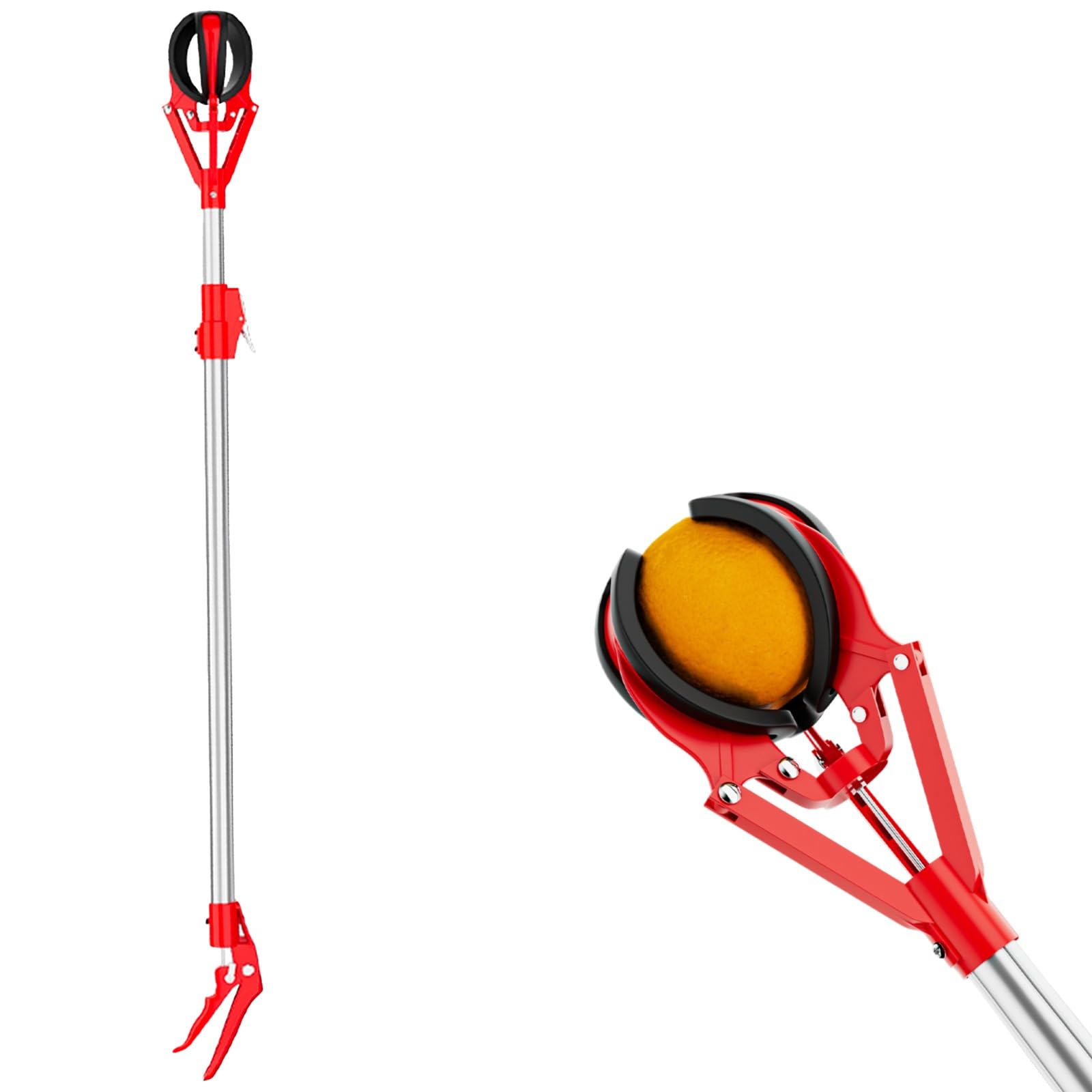 AMUFJJ cueille Fruit telescopique Pomme Pince À Fruits Télescopique en Aluminium, pour Mangues, Avocats, Oranges, Pêches Et Figues, avec Ouverture De 15 Cm.(3.3ft (1m) - 4.9ft (1.5m))