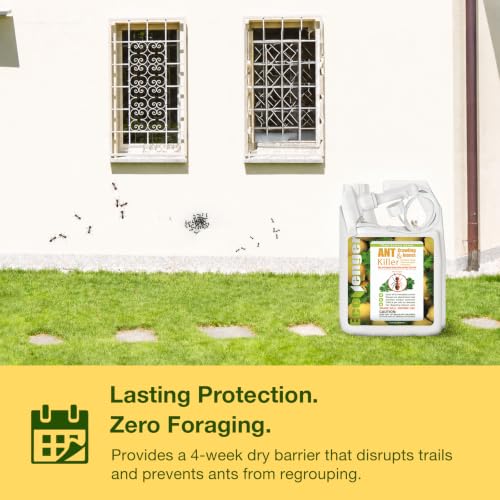 Image of EcoVenger Ant Killer & Nest Treatment (32 OZ), Fast Kills House Ants, Fire Ants, Lasting Repellency, Safe for Children & Pets