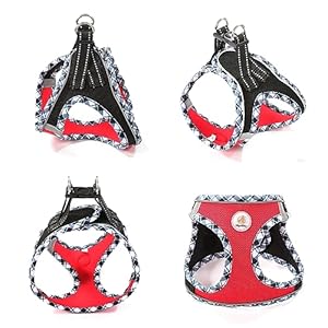 Dog Harness with Leash Step in Puppy Harnesss Soft Mesh Pet Small Harness with Reflective for Walking Running pinks Cucciolini Doodles Dog harness with leash step in puppy harnesss soft mesh pet small harness with reflective for walking running pinks cucciolini doodles