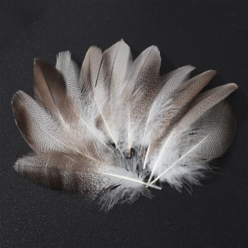 Cheerix 100 Stück Federn zum Basteln, Natürliche Feder Deko, Bastelfedern Deko, Bastelfedern für DIY Ohrring Hochzeit Traumfänger Kopfschmucksfedern, Entenfederfedern Cheerix 100 Stück Federn zum Basteln, Natürliche Feder Deko, Bastelfedern Deko, Bastelfedern für DIY Ohrring Hochzeit Traumfänger Kopfschmucksfedern, Entenfederfedern