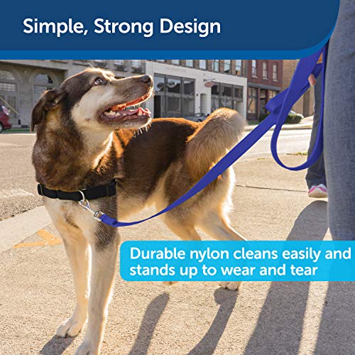 Petsafe LSH 3/8 X 6 RYL Nylon Dog Leash – Strong thumb #3
