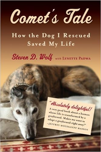 Comet's Tale: How the Dog I Rescued Saved My Life book cover