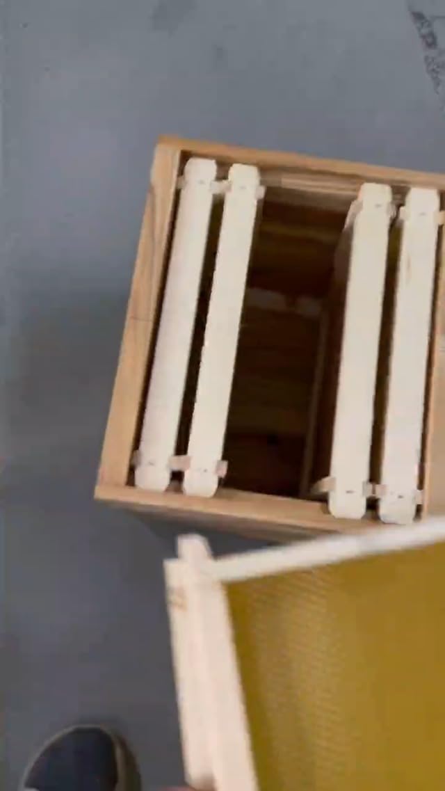 Bienenstock Starter Kit mit komplettem Rahmen und Beobachtungsfenster, inklusive Honigauslauf für Gartenbestäuber