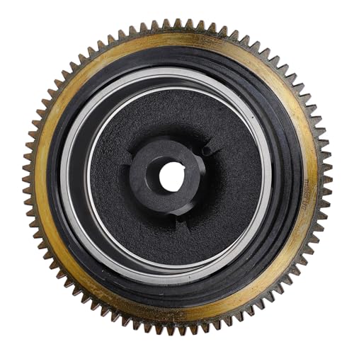 Volant d'inertie électrique Alomejor en fer avec équilibre précis pour moteur hors-bord