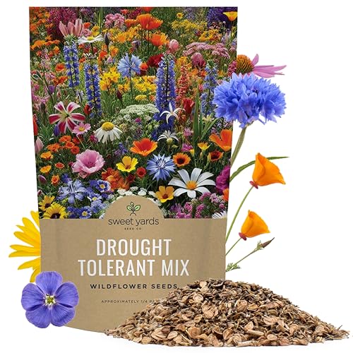 Drought Tolerant Wildflowers Mix &ndash; Bulk Quarter Pound Bag &ndash; Over 30,000 Open Pollinated Non-GMO...